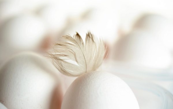 découvrez le nombre de calories dans un œuf, ses bienfaits nutritionnels et comment l'intégrer dans une alimentation équilibrée.