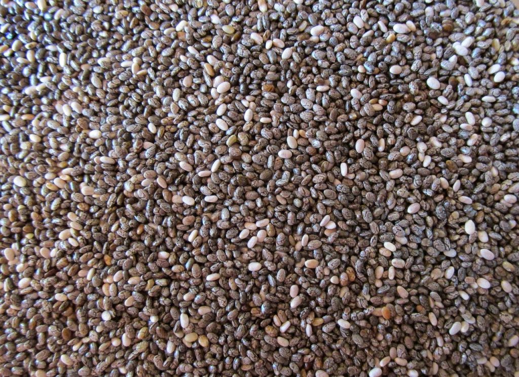 découvrez le nombre de calories contenues dans les graines de chia et leurs bienfaits pour une alimentation saine et équilibrée.