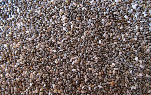 découvrez le nombre de calories contenues dans les graines de chia et leurs bienfaits pour une alimentation saine et équilibrée.