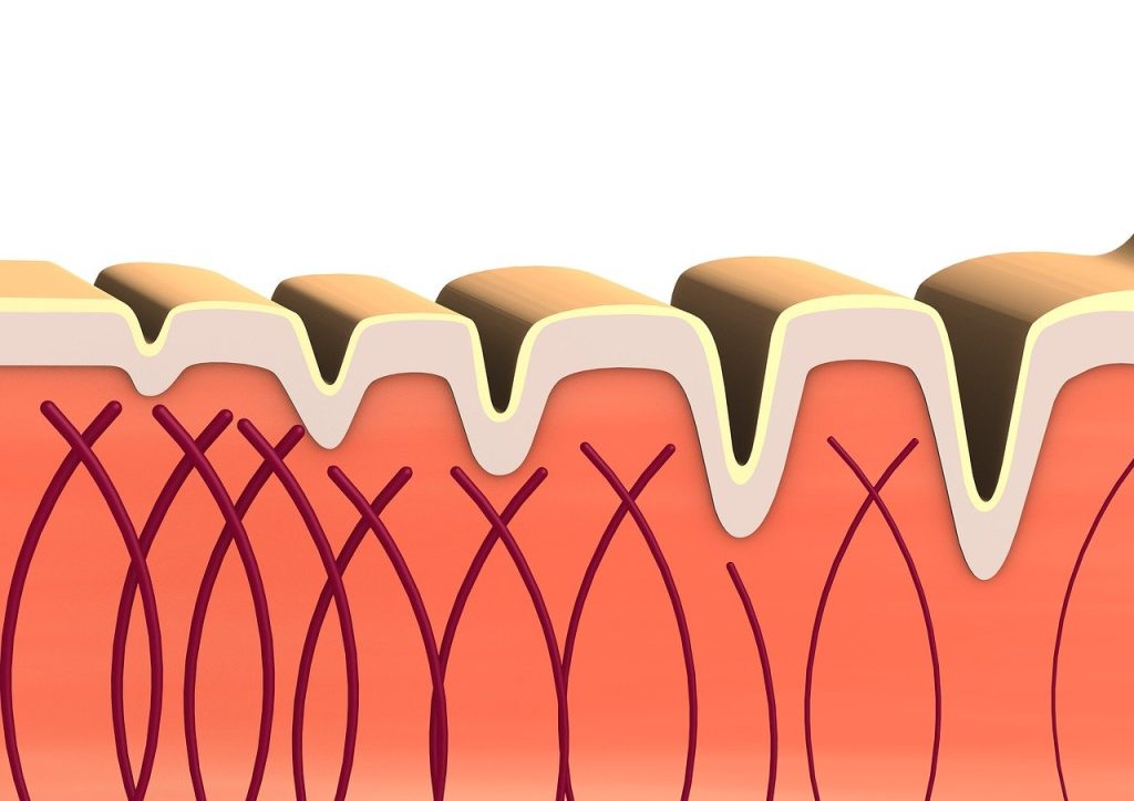 découvrez les bienfaits du collagène pour une peau éclatante, des articulations renforcées et un vieillissement en beauté. tout savoir sur ce protéine essentielle.