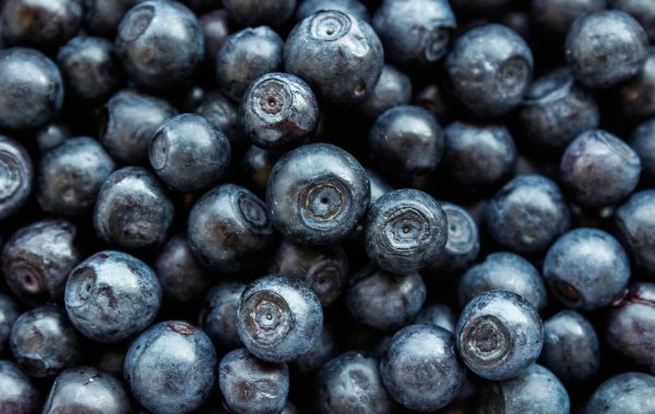 découvrez des conseils essentiels et des informations fiables pour adopter une alimentation équilibrée et améliorer votre bien-être grâce à une bonne nutrition.