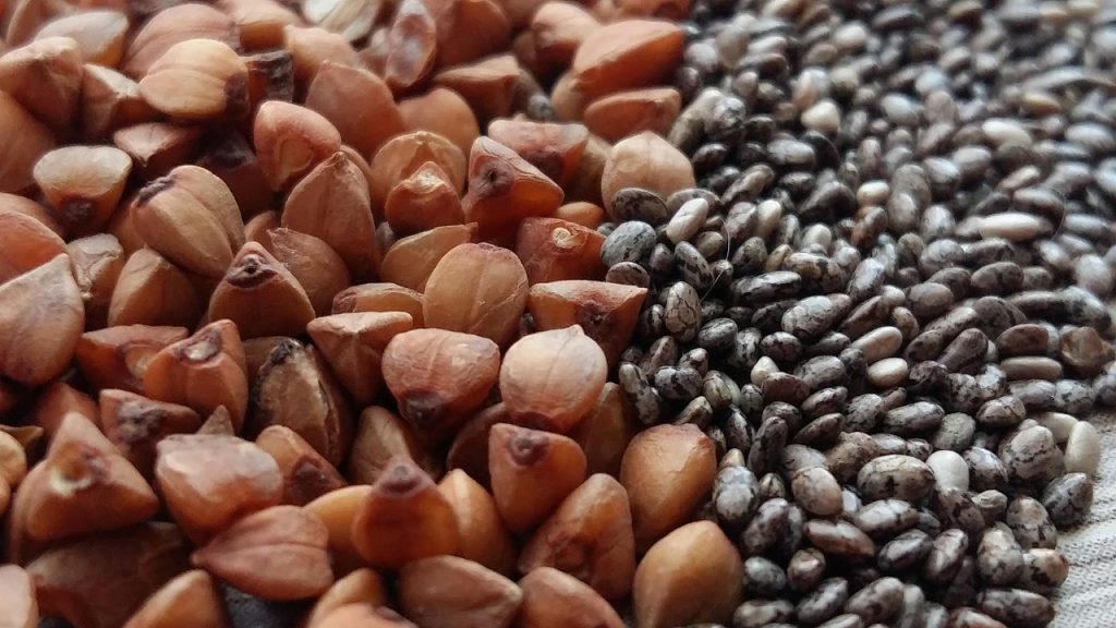 découvrez notre sélection de protéines vegan, riches en nutriments essentiels, idéales pour une alimentation saine et respectueuse de l'environnement.