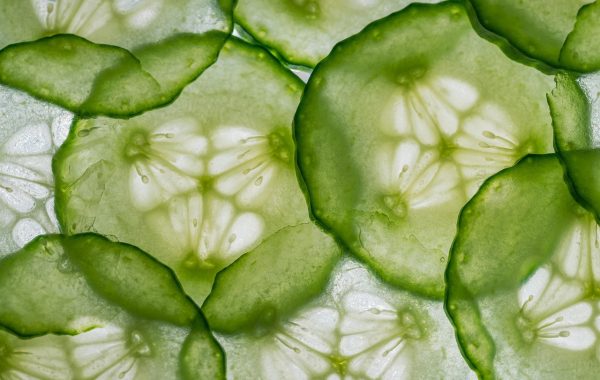 découvrez une recette fraîche et simple de concombre à la vinaigrette, parfaite pour une entrée légère et savoureuse.