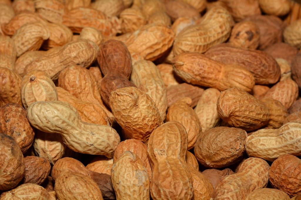 découvrez notre beurre de cacahuète bio, 100% naturel et sans additifs, parfait pour une alimentation saine et gourmande.