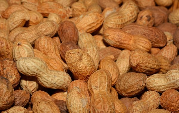 découvrez notre beurre de cacahuète bio, 100% naturel et sans additifs, parfait pour une alimentation saine et gourmande.