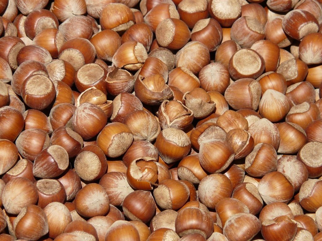 découvrez notre poudre de protéines végétales, une source naturelle et saine pour soutenir votre énergie et votre récupération musculaire, idéale pour une alimentation équilibrée et végétalienne.