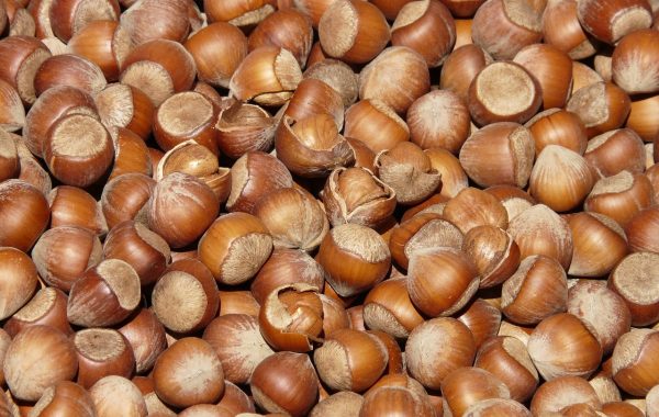 découvrez notre poudre de protéines végétales, une source naturelle et saine pour soutenir votre énergie et votre récupération musculaire, idéale pour une alimentation équilibrée et végétalienne.