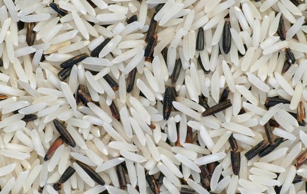 découvrez tout sur le riz : ses variétés, ses bienfaits nutritionnels, et des idées de recettes savoureuses pour intégrer ce grain essentiel dans votre alimentation quotidienne.