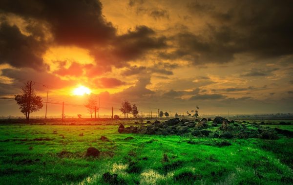 découvrez des méthodes naturelles pour stimuler votre métabolisme, augmenter votre énergie et favoriser la perte de poids de manière saine et durable.