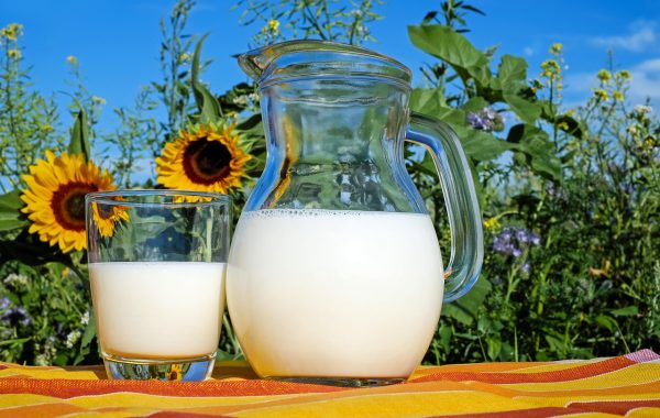 découvrez notre protéine de musculation idéale pour développer votre masse musculaire rapidement et efficacement. favorisez la récupération et la croissance musculaire grâce à une formule riche en nutriments essentiels.