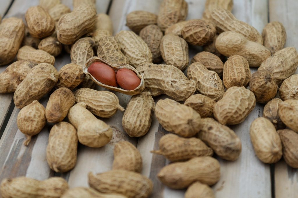 découvrez les bienfaits du régime protéiné pour une alimentation équilibrée, favorisant la perte de poids et le maintien de la masse musculaire.