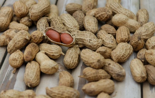 découvrez les bienfaits du régime protéiné pour une alimentation équilibrée, favorisant la perte de poids et le maintien de la masse musculaire.