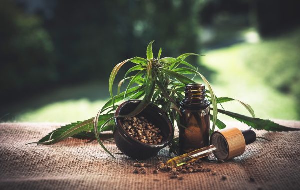 découvrez la protéine de chanvre, une source naturelle et végétale riche en nutriments essentiels pour une alimentation saine et équilibrée.