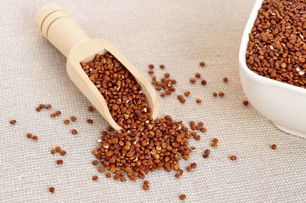 découvrez nos protéines véganes riches en nutriments, idéales pour soutenir votre alimentation saine et votre mode de vie végétalien.