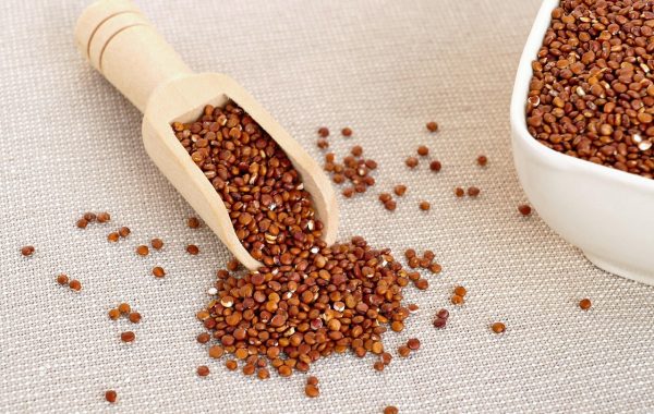 découvrez nos protéines véganes riches en nutriments, idéales pour soutenir votre alimentation saine et votre mode de vie végétalien.
