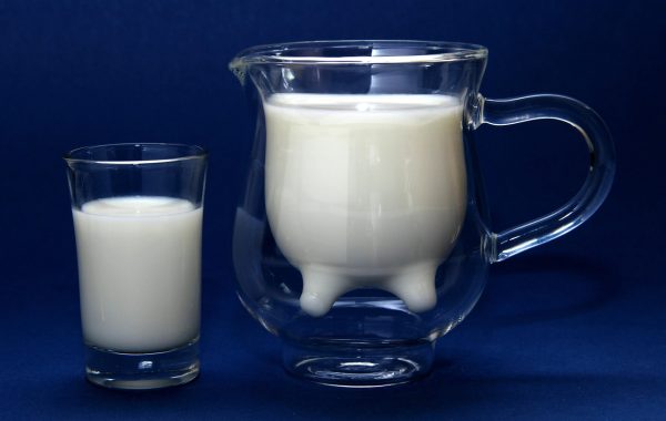 découvrez protein milk, une boisson riche en protéines idéale pour booster votre énergie et soutenir la croissance musculaire. parfaite pour une nutrition saine et équilibrée.