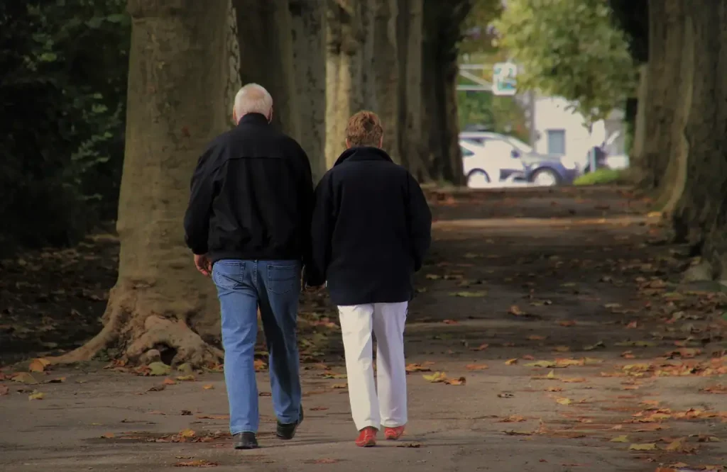 Couple de seniors marchant main dans la main, de dos, dans une allée bordée de platanes aux feuilles d'automne
