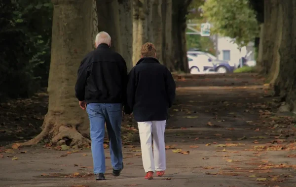 Couple de seniors marchant main dans la main, de dos, dans une allée bordée de platanes aux feuilles d'automne