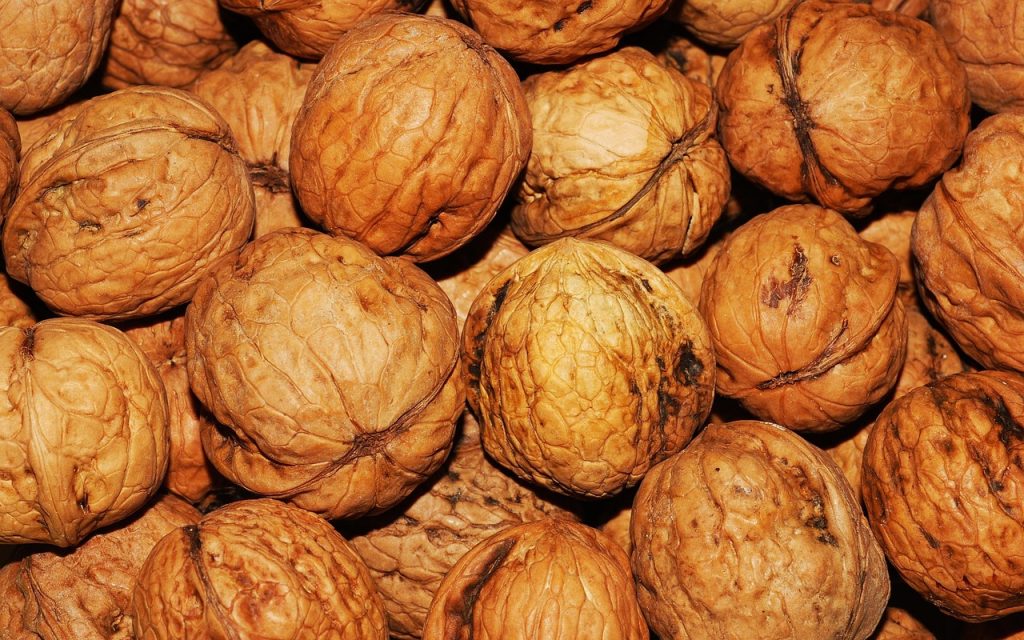 découvrez les aliments riches en fibres pour améliorer votre digestion, favoriser la satiété et maintenir une bonne santé intestinale au quotidien.
