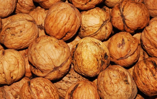 découvrez les aliments riches en fibres pour améliorer votre digestion, favoriser la satiété et maintenir une bonne santé intestinale au quotidien.