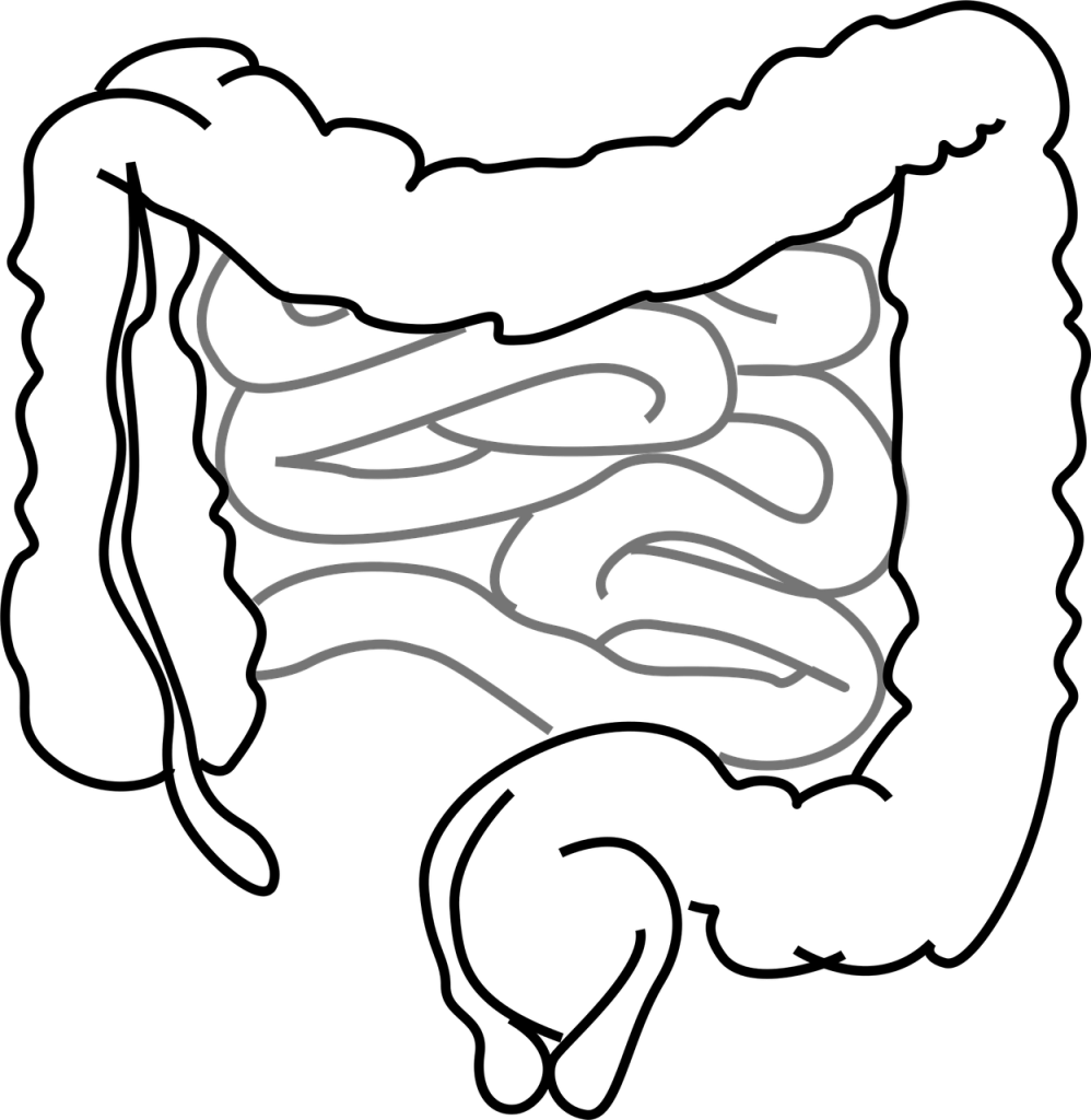 améliorez votre santé intestinale grâce à des conseils, astuces et informations sur la digestion, la flore intestinale et le bien-être global.