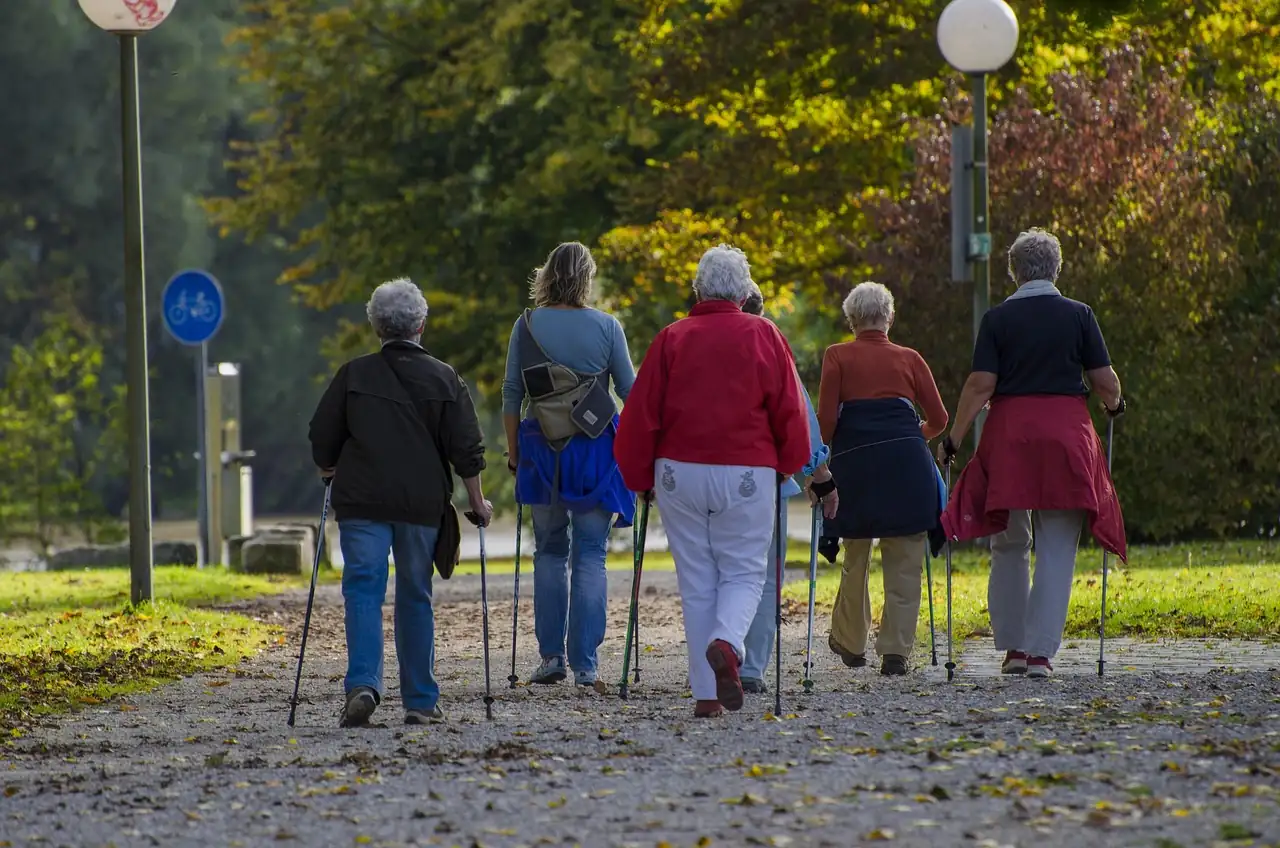 Groupe de marcheurs seniors avec bâtons de marche nordique sur une allée de parc en automne