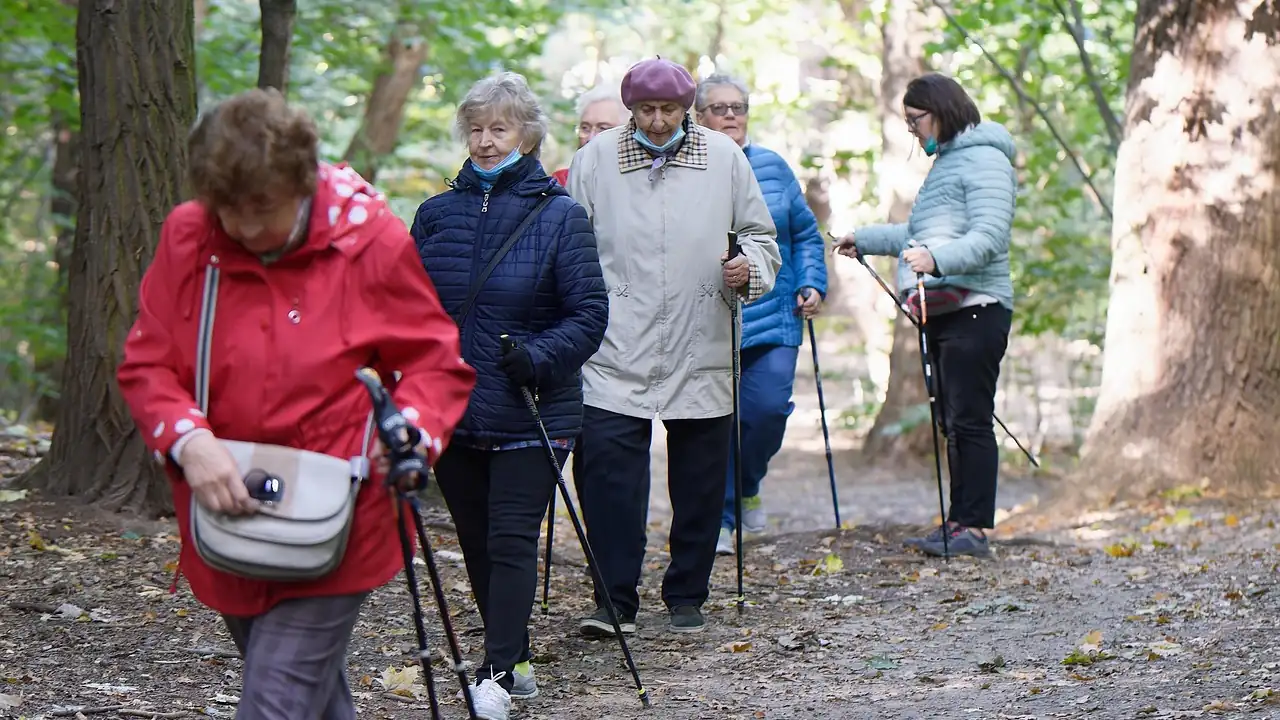 Groupe de femmes âgées en marche nordique avec des bâtons sur un chemin de forêt