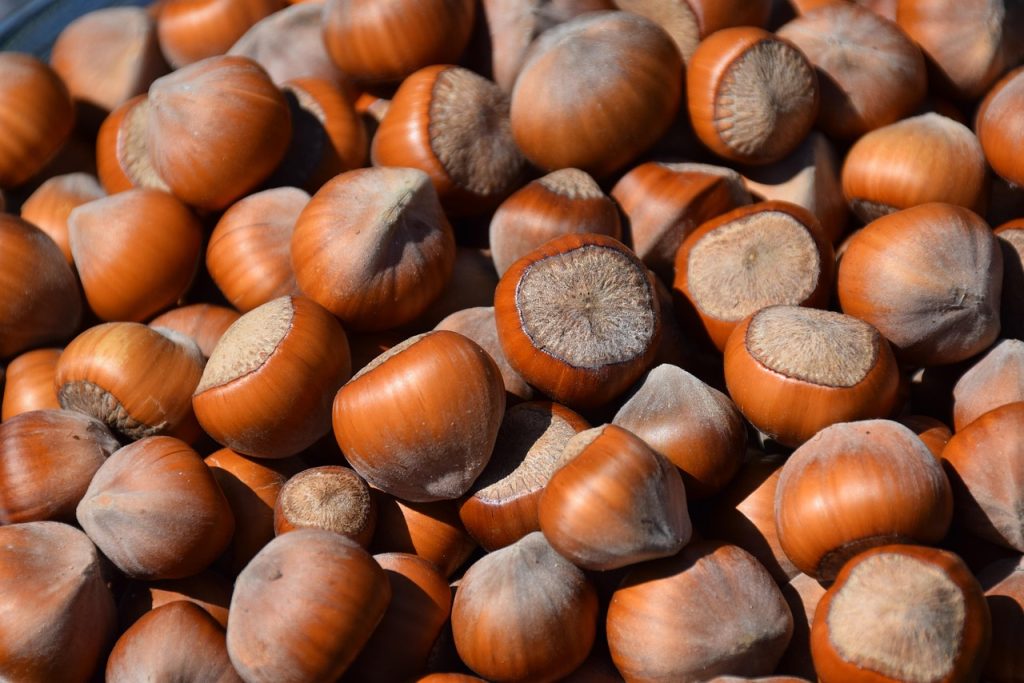 découvrez notre sélection de barres protéinées délicieuses et nutritives, idéales pour booster votre énergie et soutenir votre récupération musculaire.