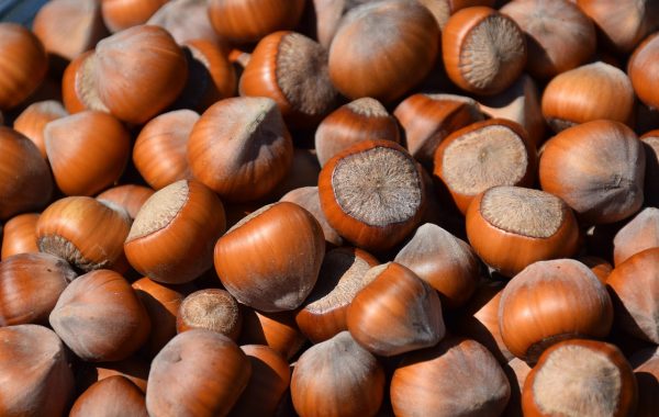 découvrez notre sélection de barres protéinées délicieuses et nutritives, idéales pour booster votre énergie et soutenir votre récupération musculaire.