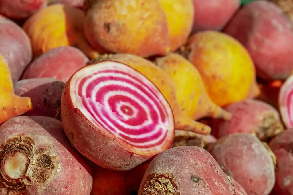 Betteraves Chioggia et jaunes sur un étal, l'une coupée en deux montre ses anneaux roses et blancs