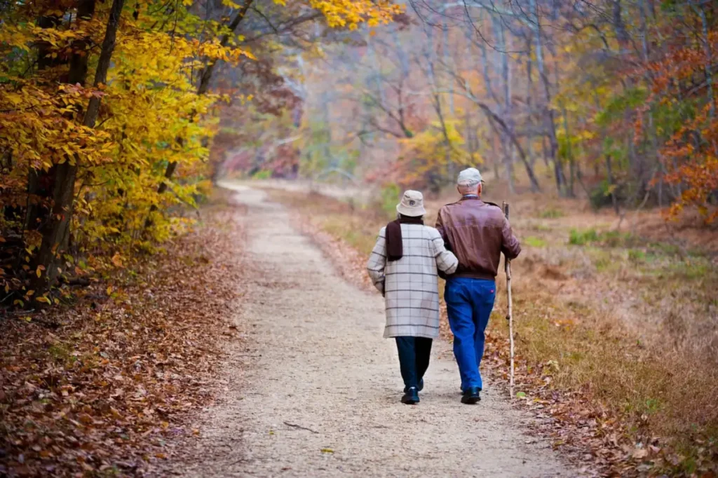 Couple âgé marchant bras dessus bras dessous sur un sentier bordé d'arbres aux feuilles d'automne