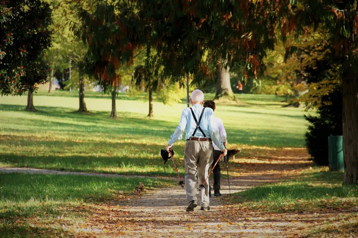 Homme aux cheveux blancs en marche nordique avec ses bâtons dans un parc ensoleillé