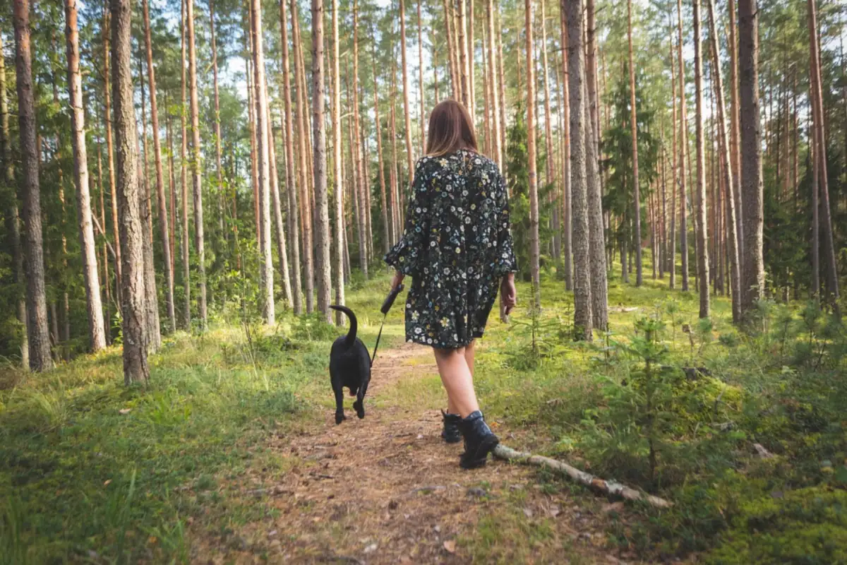 Femme en robe fleurie marchant avec un chien noir sur un sentier de forêt de pins