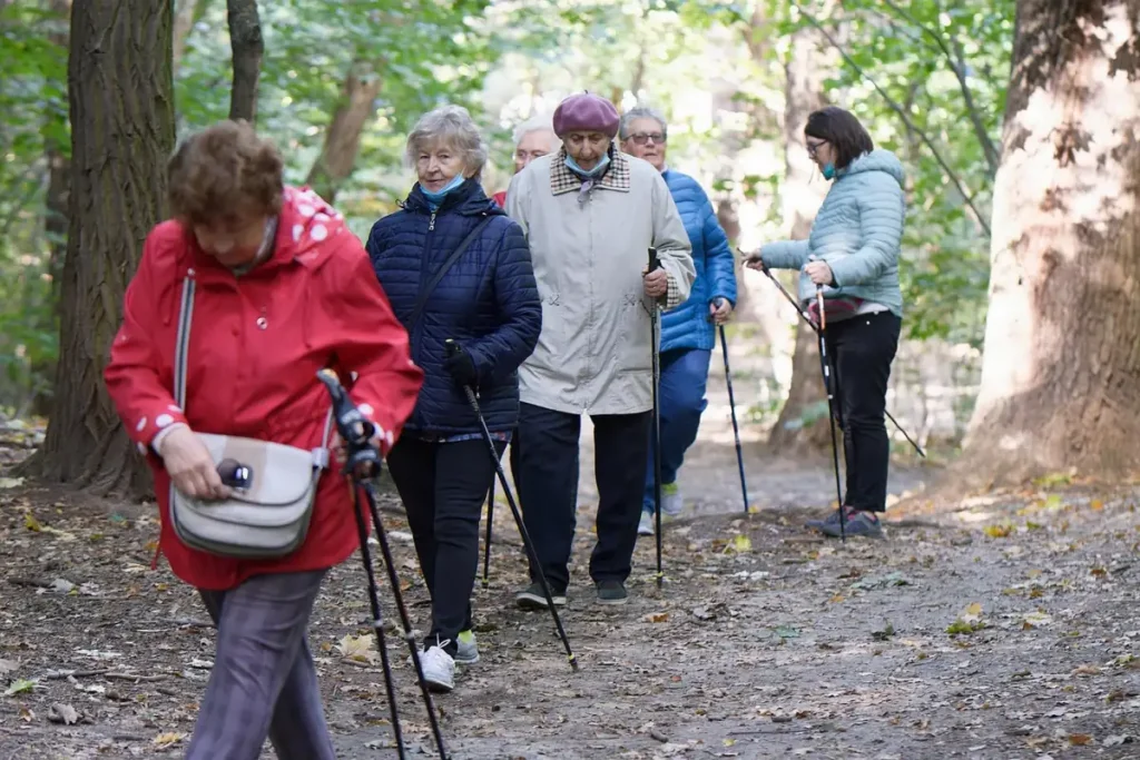 Groupe de femmes âgées en marche nordique sur un chemin de forêt, bâtons à la main, feuilles mortes au sol