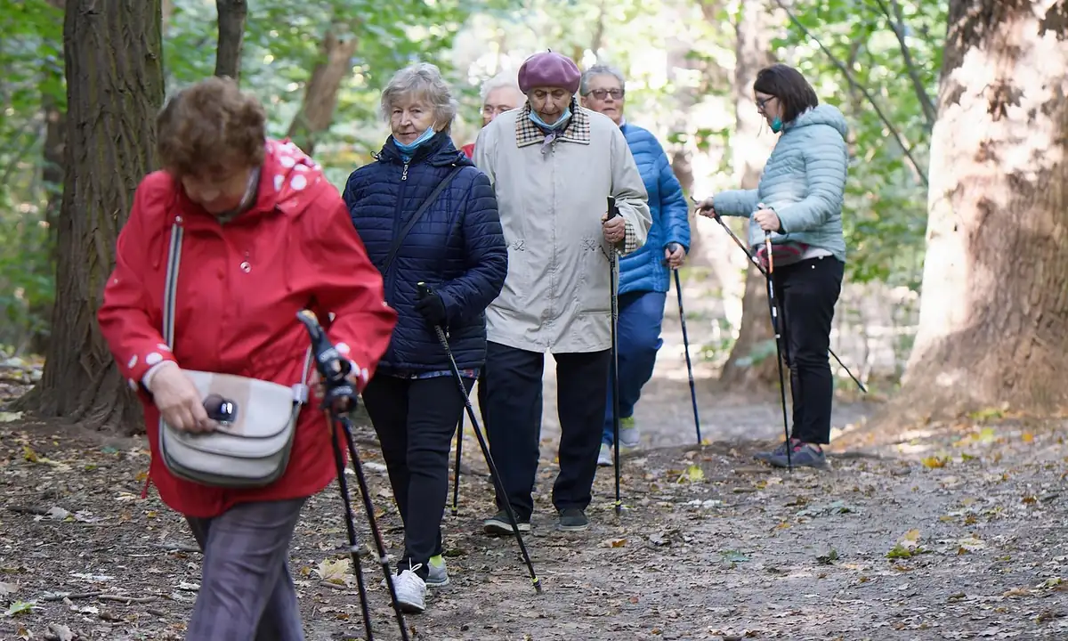 Groupe de femmes âgées en marche nordique sur un chemin forestier en automne