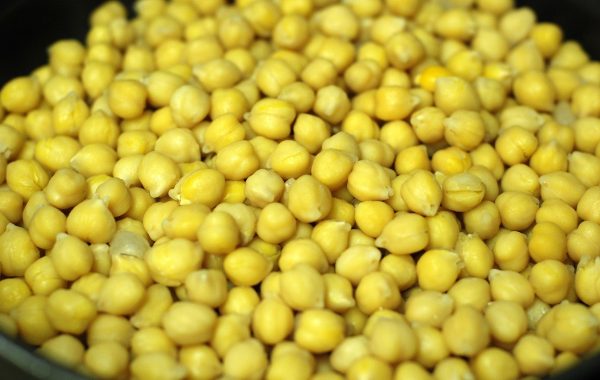 découvrez les protéines végétales : leurs bienfaits, leurs meilleures sources et des conseils pour les intégrer facilement à une alimentation équilibrée.