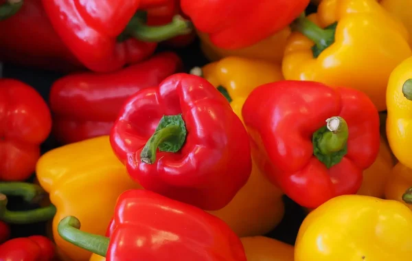 Poivrons rouges et jaunes entassés sur un étal, vus de près