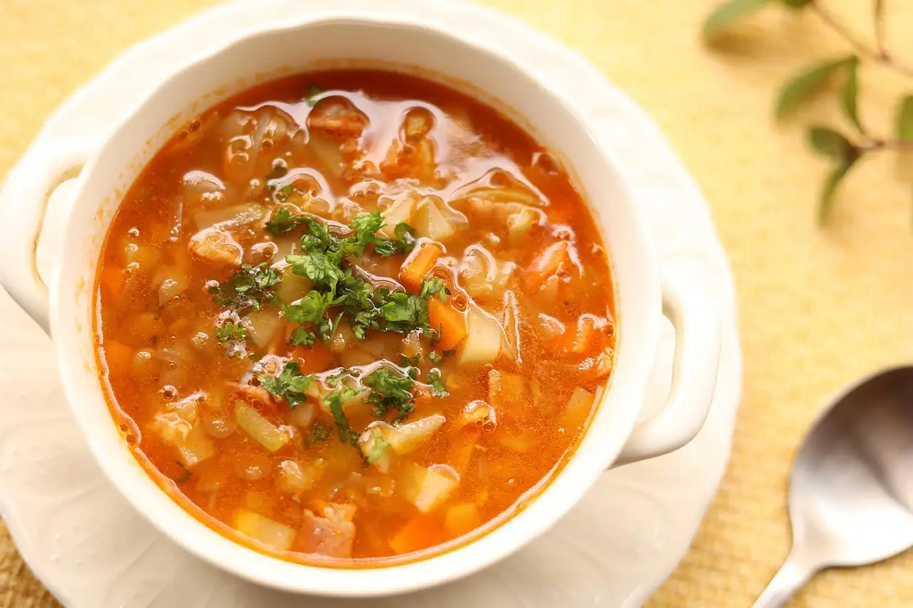 Soupe de légumes en morceaux à la tomate, parsemée de persil, dans un bol à anses blanc