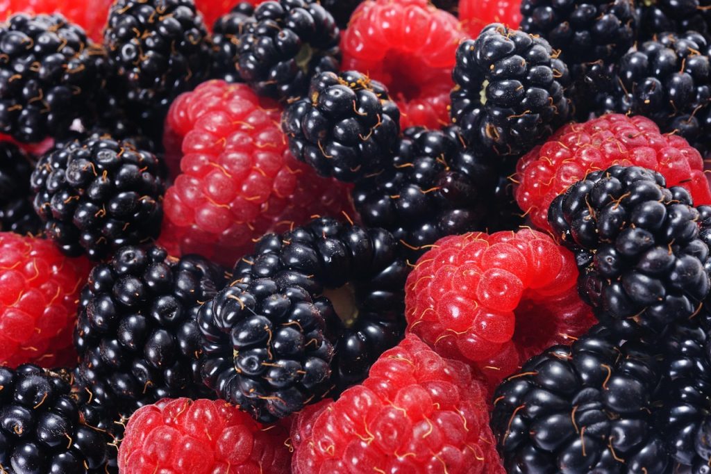 découvrez les aliments riches en vitamine d et apprenez comment les intégrer à votre alimentation pour contribuer à vos apports quotidiens.