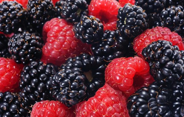 découvrez les aliments riches en vitamine d et apprenez comment les intégrer à votre alimentation pour contribuer à vos apports quotidiens.