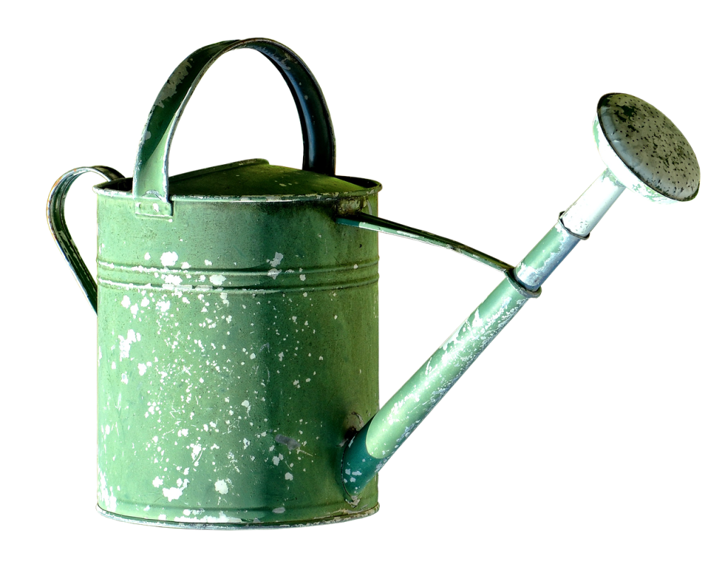 découvrez les compléments de zinc, leurs bienfaits potentiels, les différentes formes disponibles et les conseils pour choisir un produit adapté.