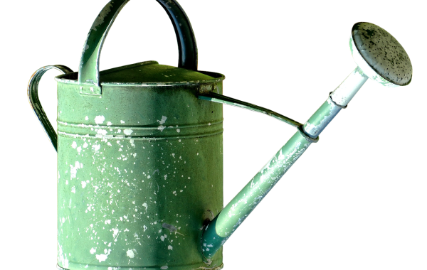 découvrez les compléments de zinc, leurs bienfaits potentiels, les différentes formes disponibles et les conseils pour choisir un produit adapté.